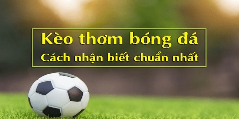 Kho game chơi cá độ tại THABET hấp dẫn