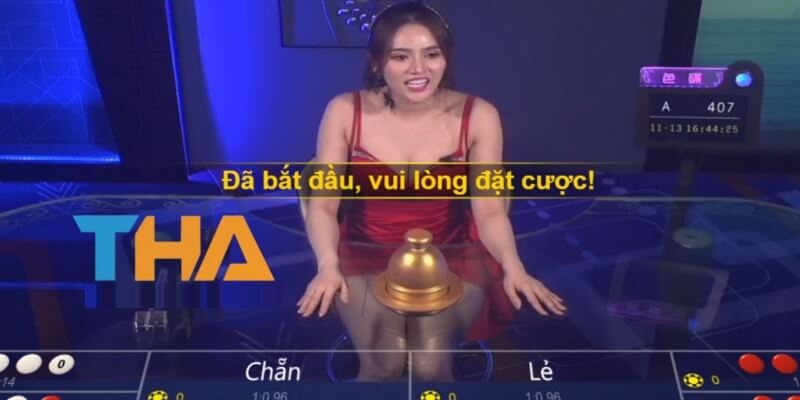 Thông tin về Tài Xỉu Thabet là gì